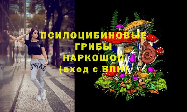 PSILOCYBIN Абдулино