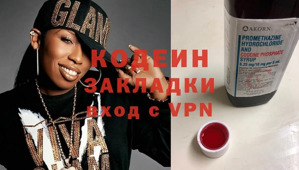 хмурый Алзамай