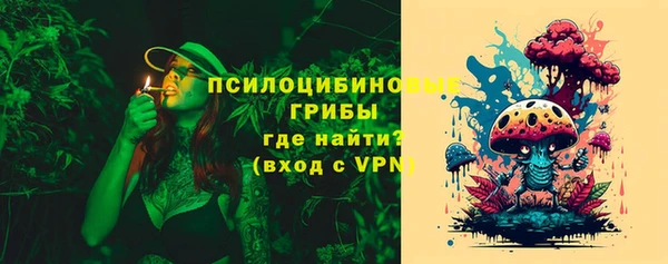 PSILOCYBIN Абдулино