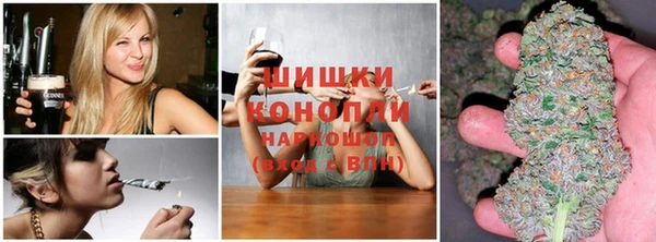 PSILOCYBIN Абдулино