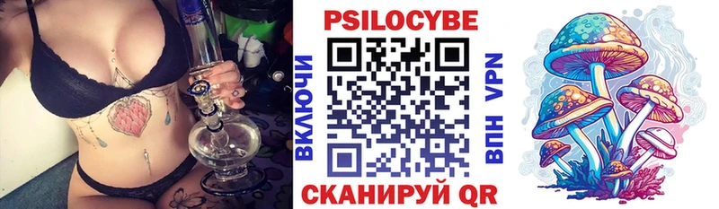 купить   Мостовской  Галлюциногенные грибы MAGIC MUSHROOMS 